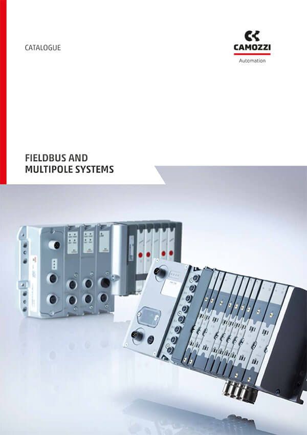 FIELDBUS AND MULTIPOLE SYSTEMS