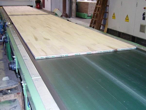 Chiorino conveyor and process belts